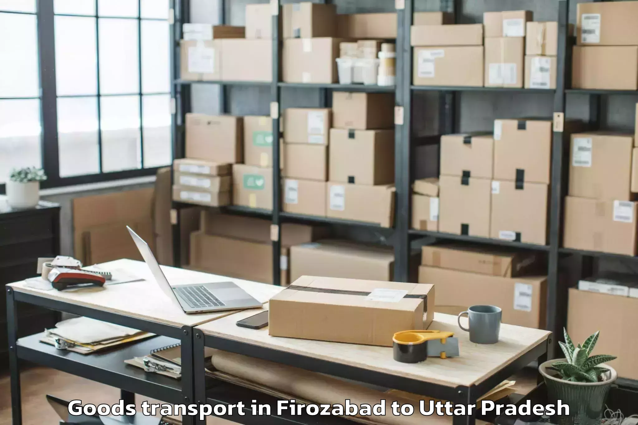 Top Firozabad to Beswan Goods Transport Available